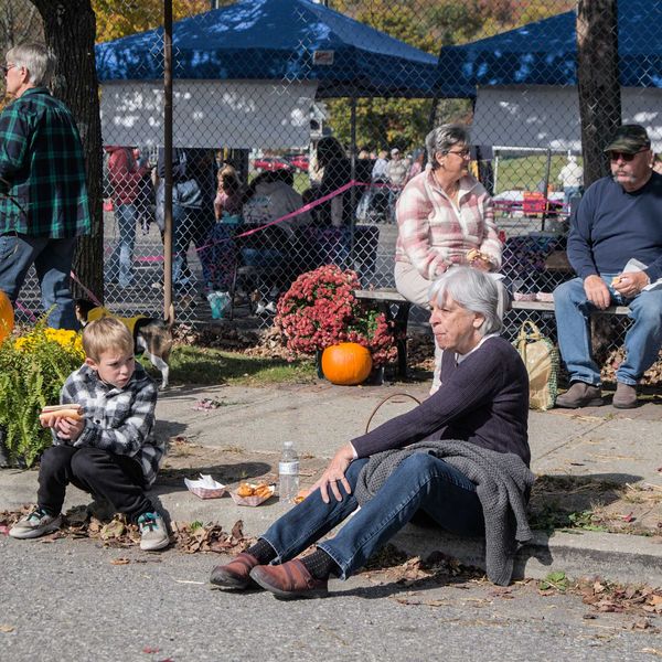 Amenia's inaugural Harvest Festival crowds Main Street