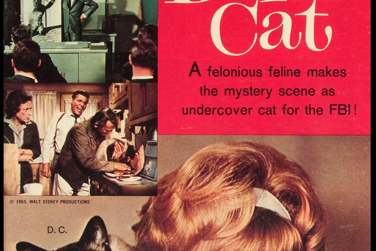 The Lost Art of Innocent Summer Fun