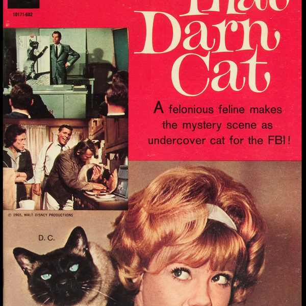 The Lost Art of Innocent Summer Fun