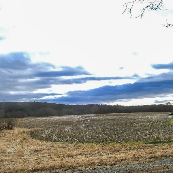 Shepherd’s Run developer faces ‘solvency’ claim in court
