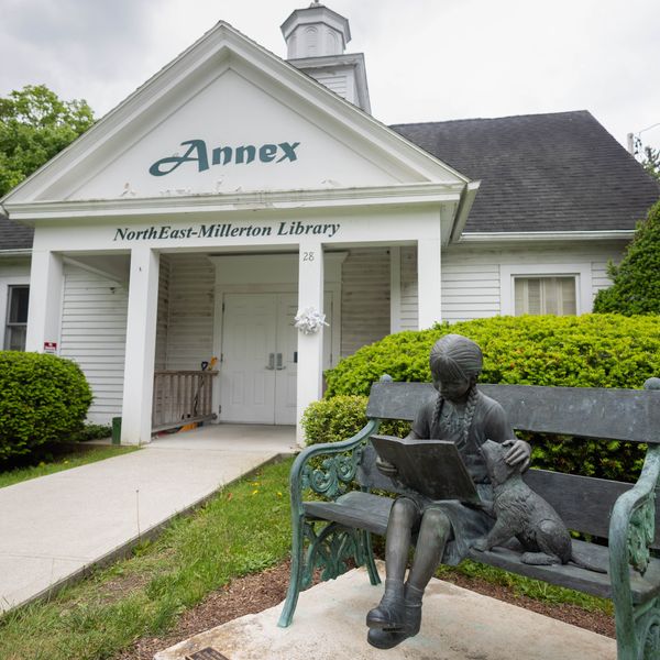 $125K grant funds NorthEast-Millerton Library repairs