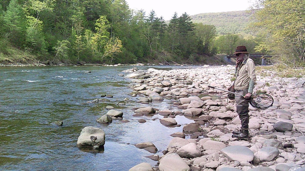 Clay-baked chubs with the private fishing club