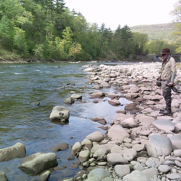 Clay-baked chubs with the private fishing club