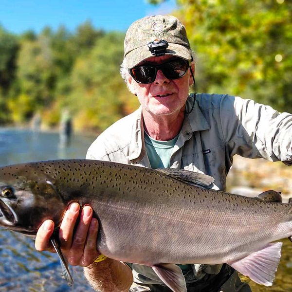 Low water, bad hip, no fish