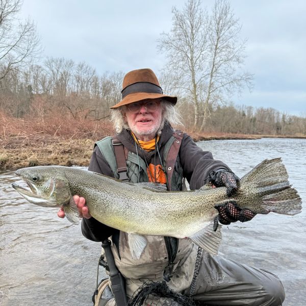 Never mind the dinkers, it’s steelhead time