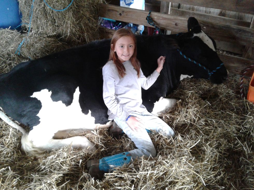 All things fall and FFA found in Pine Plains at annual Ag Fair - The ...