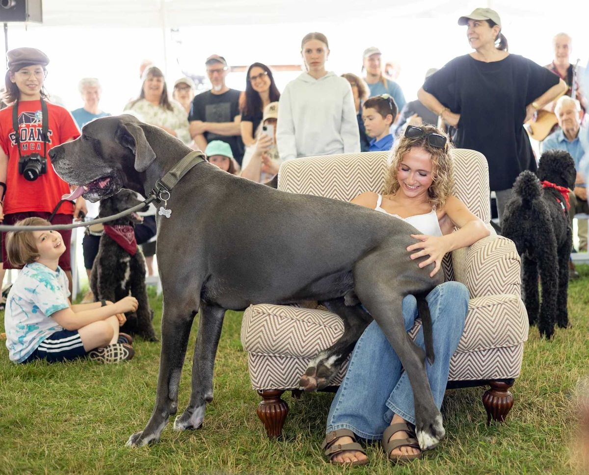 Great Country Mutt Show returns as animal shelter surrenders rise