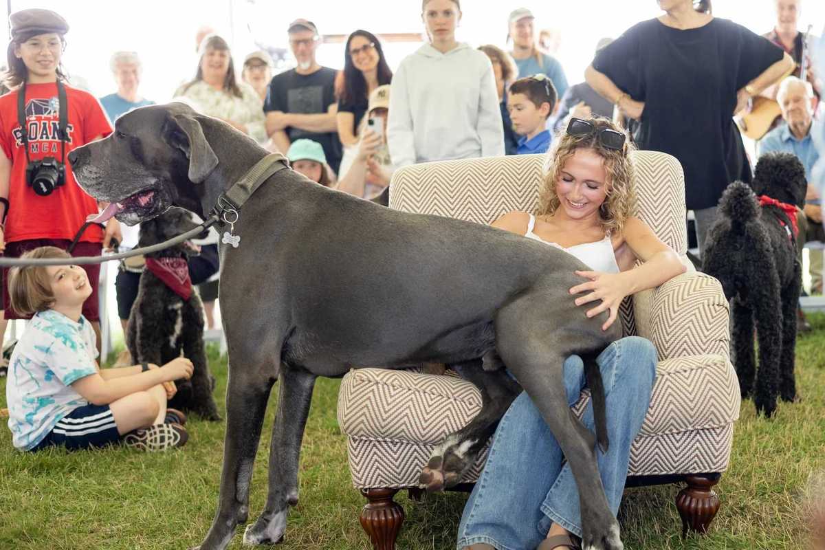 Great Country Mutt Show returns as animal shelter surrenders rise