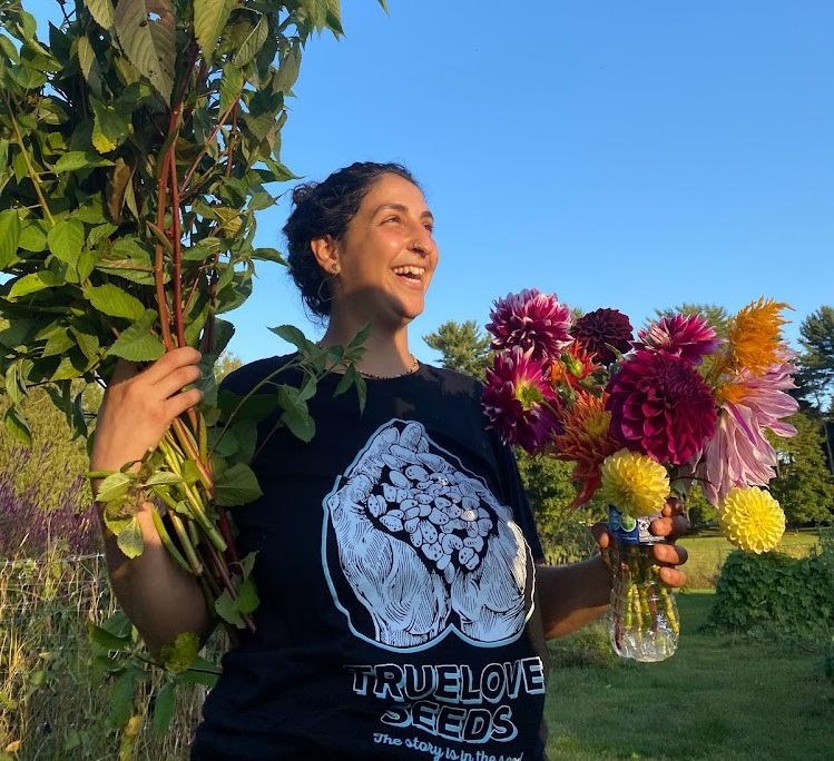 Beekeeping class April 26 at Rock Steady Farm