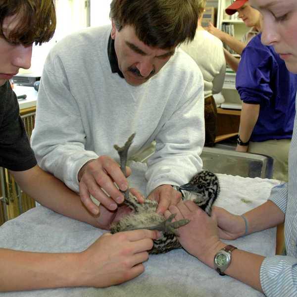 Animals matter at the Trevor-Lovejoy Zoo