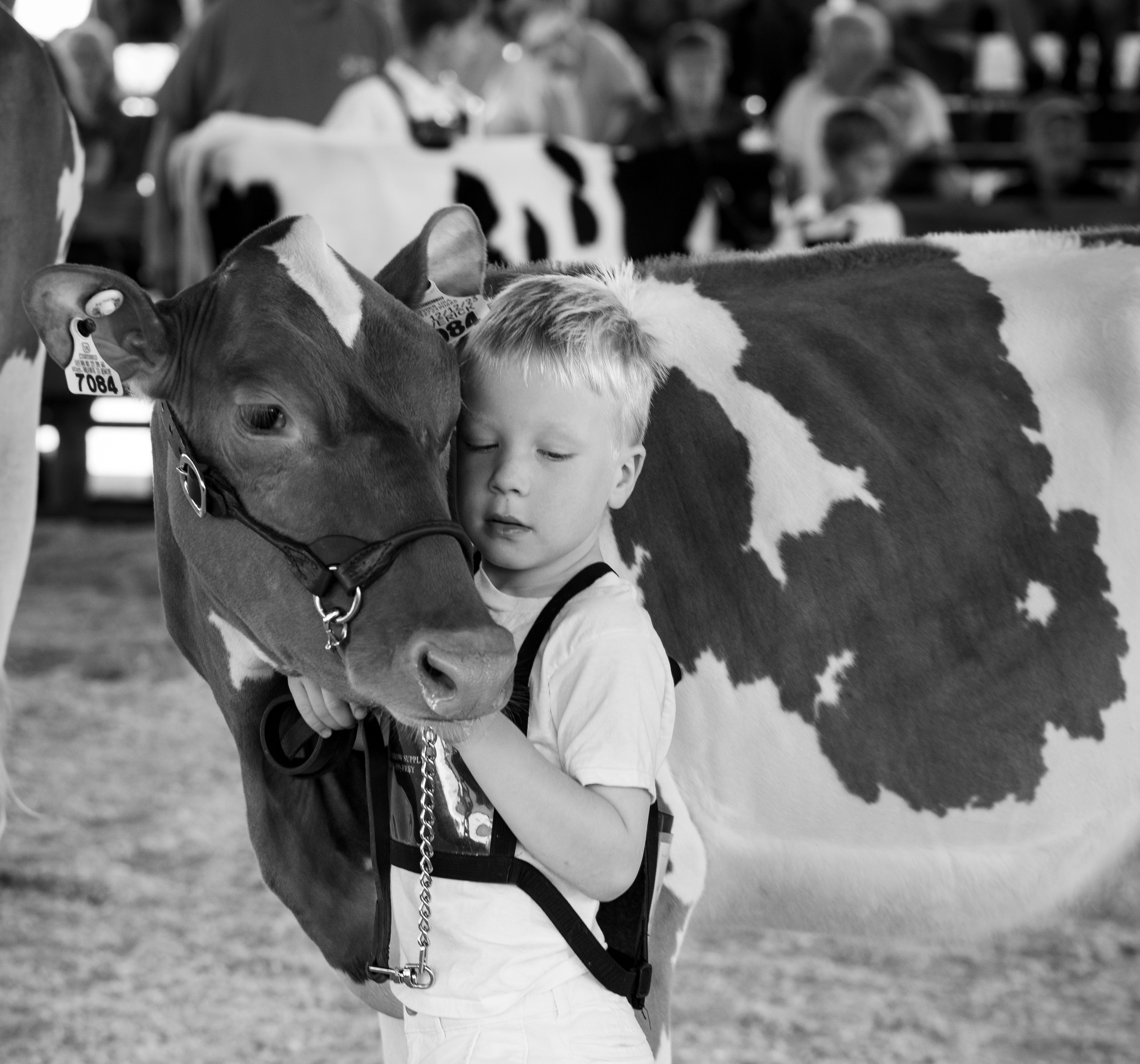 Farmers air struggles at Dutchess County Fair’s annual Ag Forum