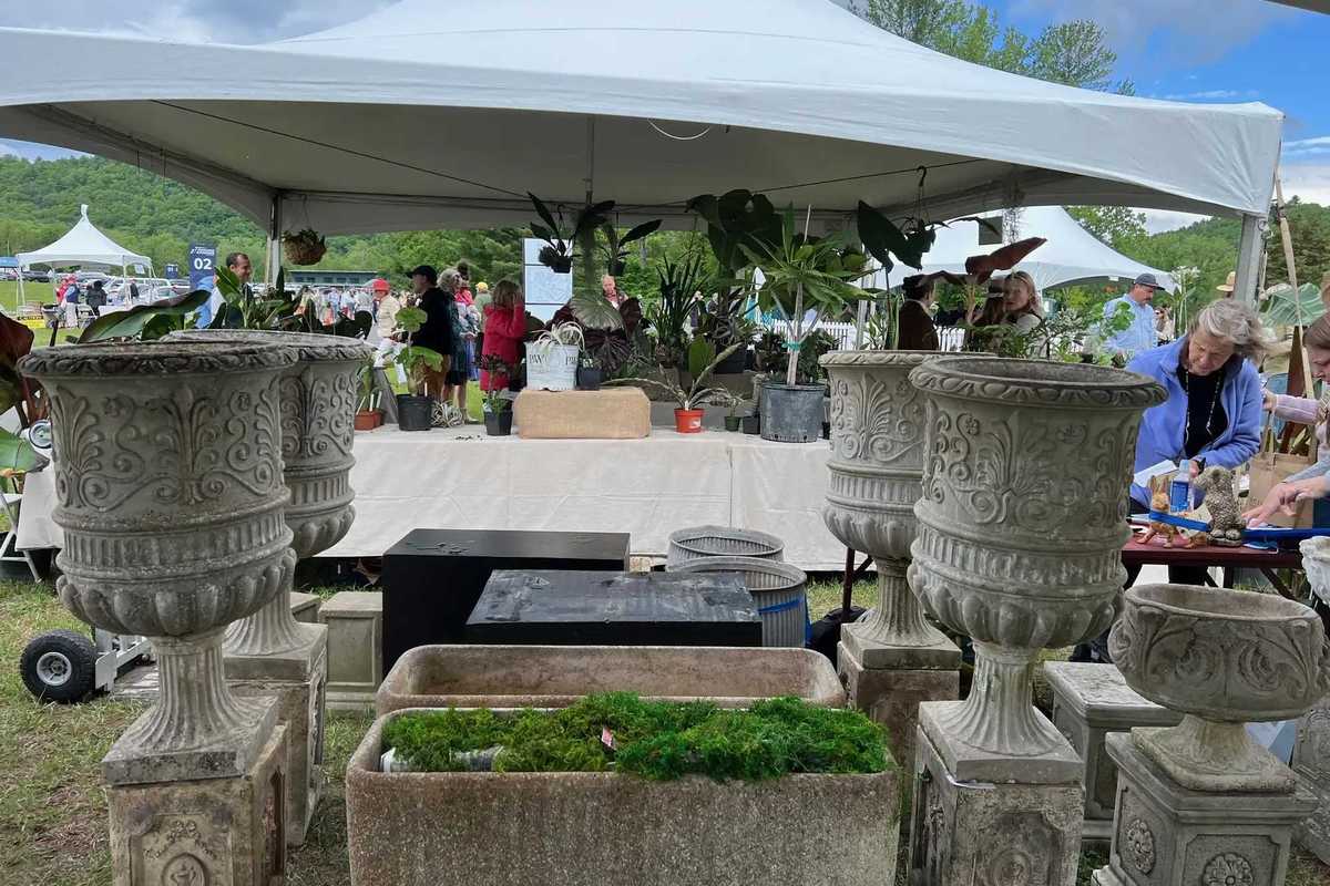 Trade Secrets: a glamorous garden event with a deeper mission