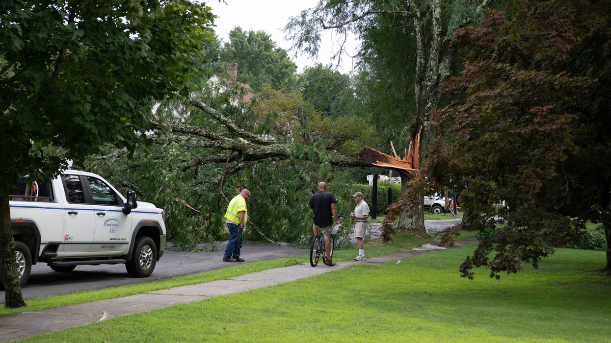 Storms down trees, knock out power for downtown Millerton