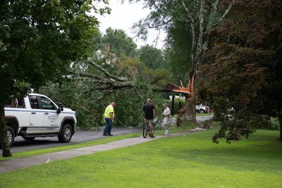 Storms down trees, knock out power for downtown Millerton