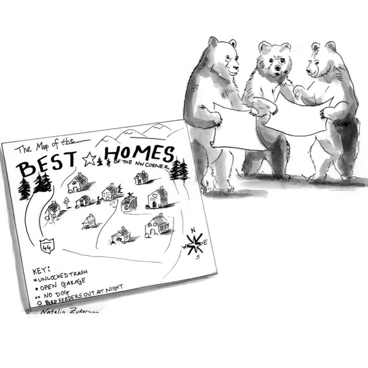 Bear maps