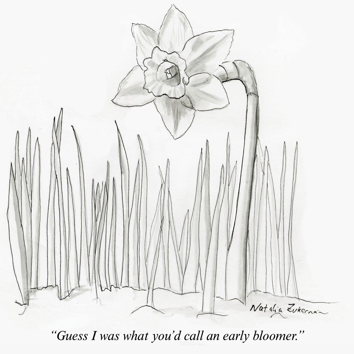 Early bloomer