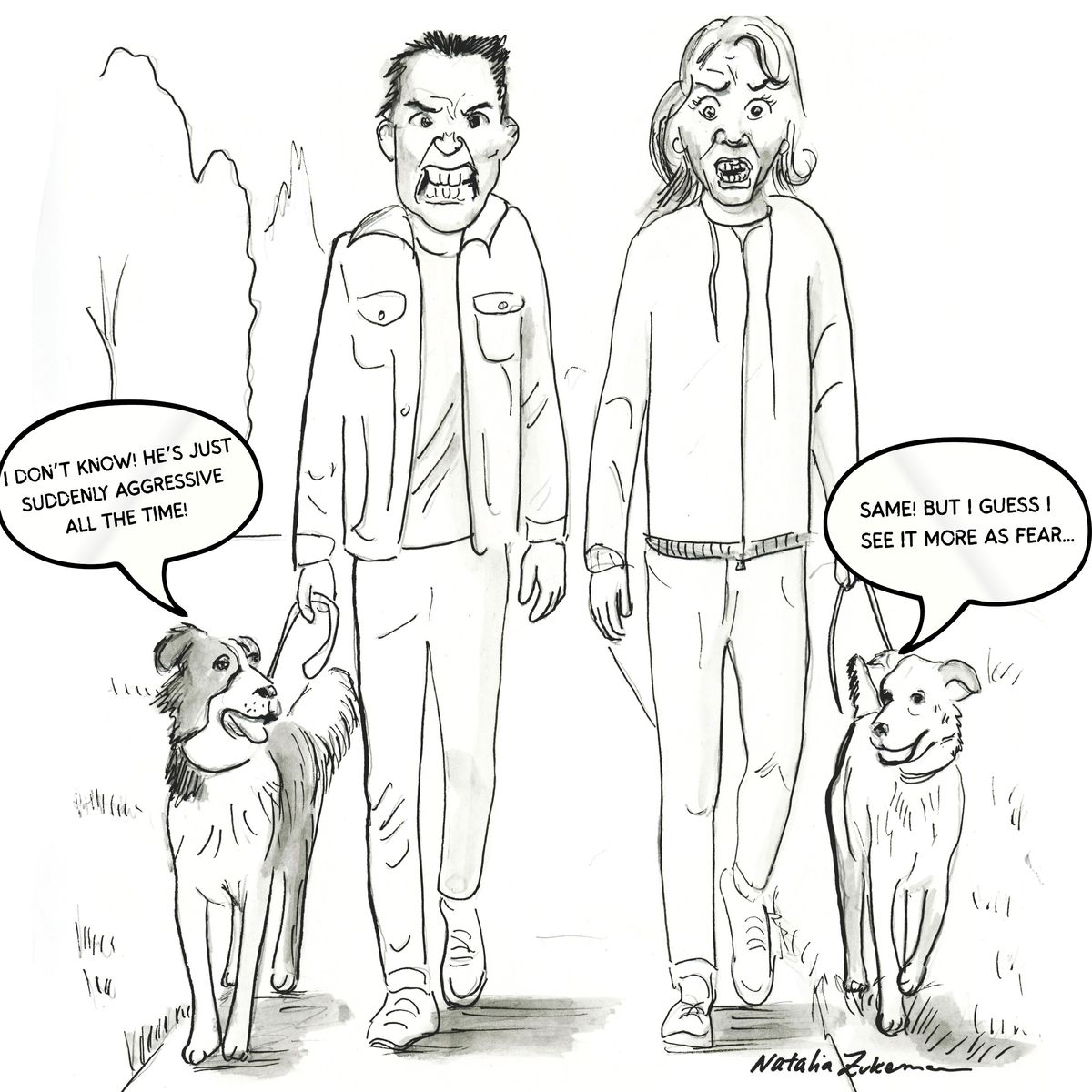 Leash aggression