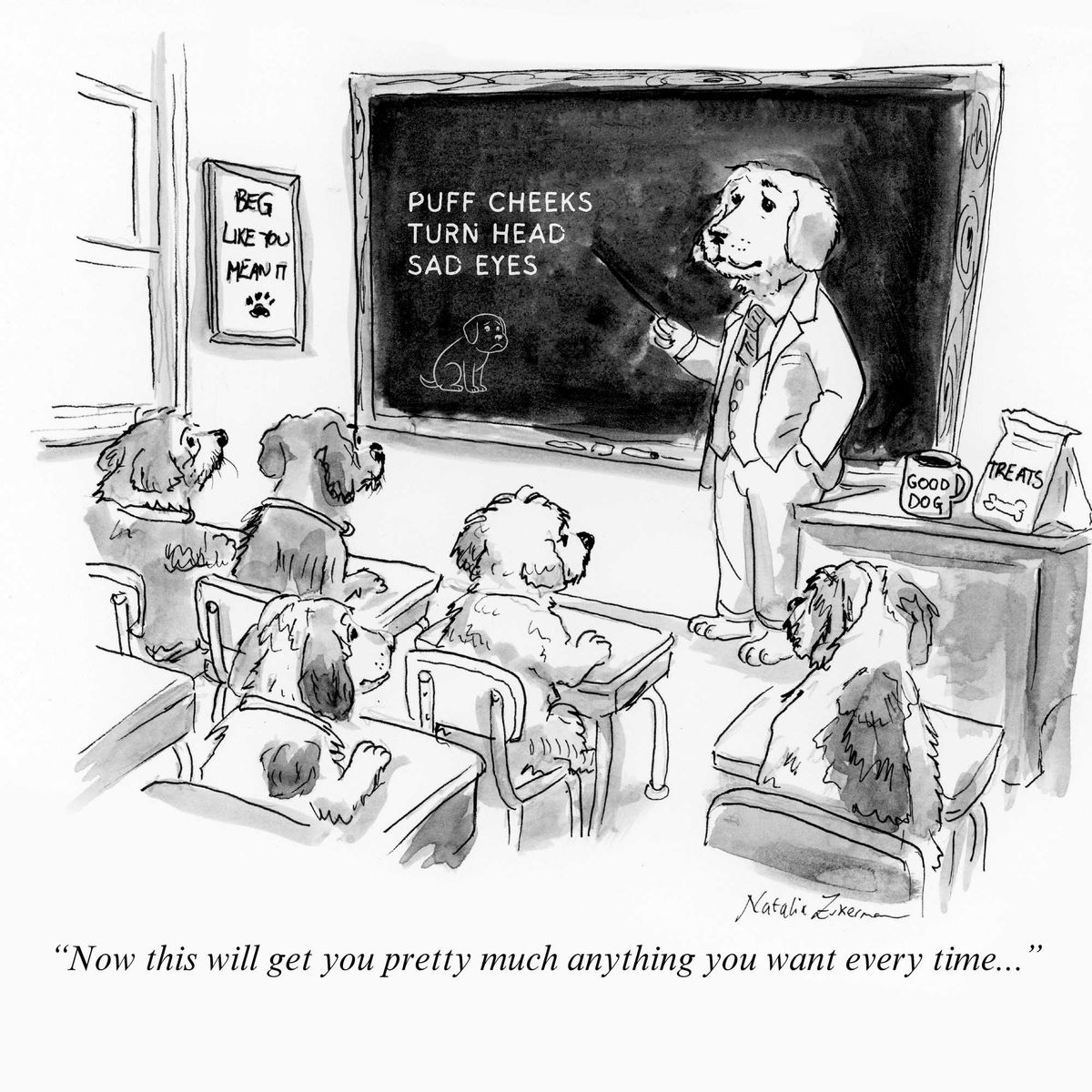 Cute class