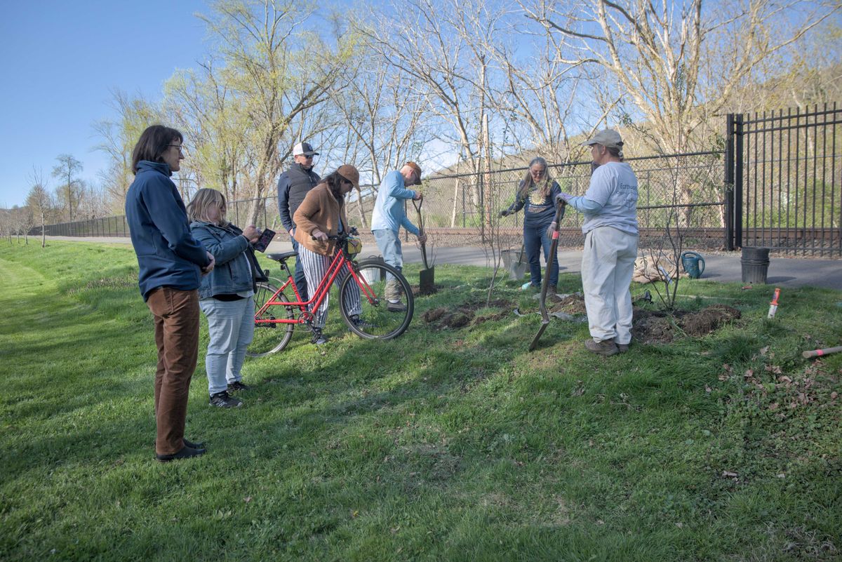 Amenia's Arbor Day celebration