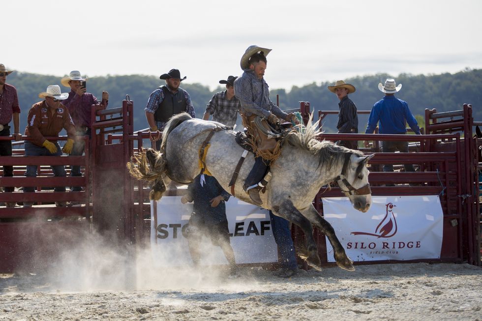 Ride ‘em, cowboy!