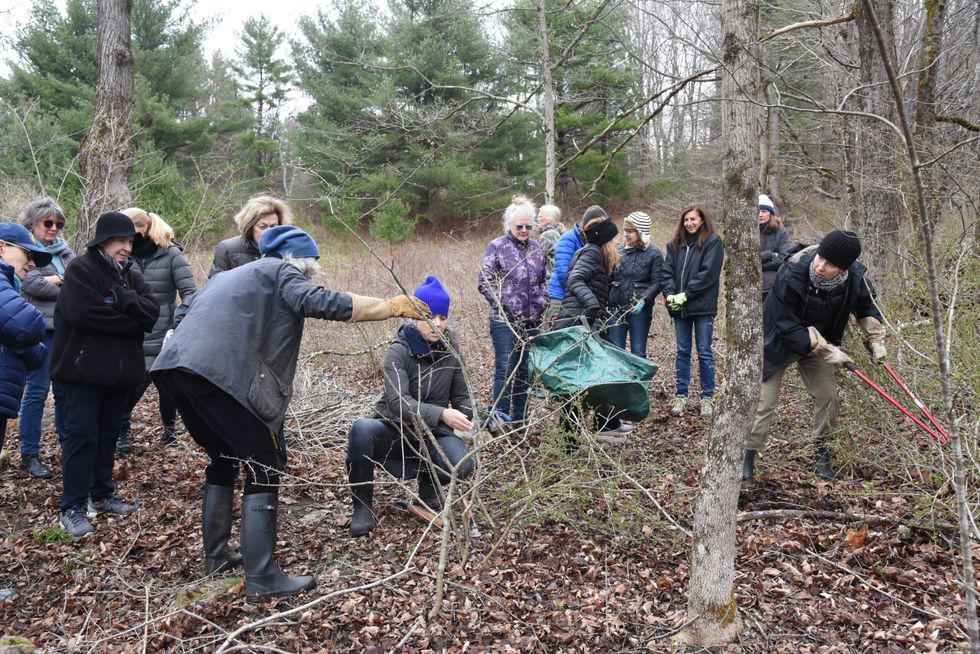 Taking Back the Landscape  From Thorny Invaders