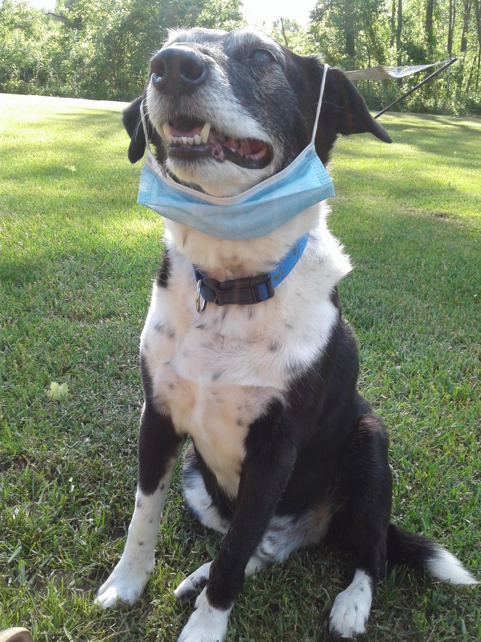 Getting into the act