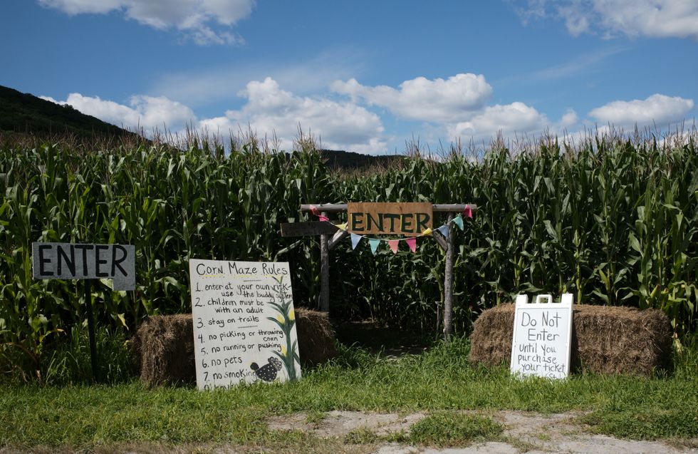 Corn maze calls