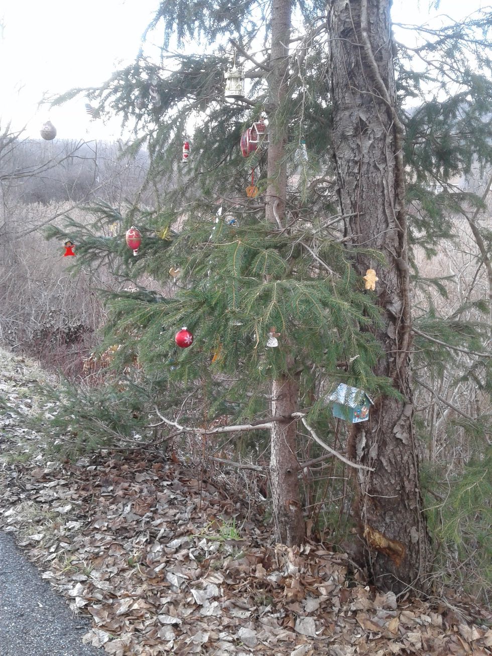 Christmas spirit reaches Rail Trail