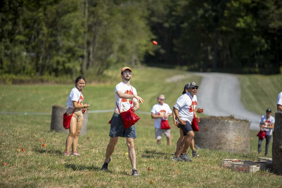 Tomatoes thrown, funds raised in Tomato War