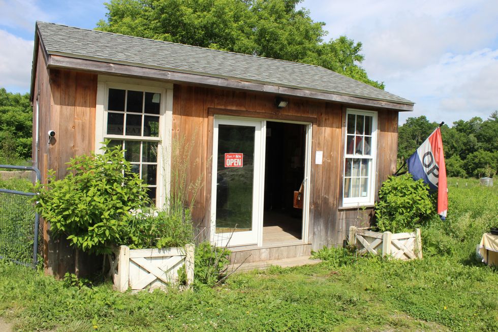 At Mountain View Farm, Everything You Need for a Fine Meal