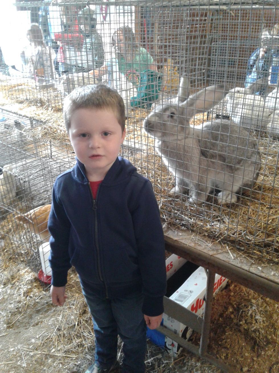 All things fall and FFA found in Pine Plains at annual Ag Fair - The ...