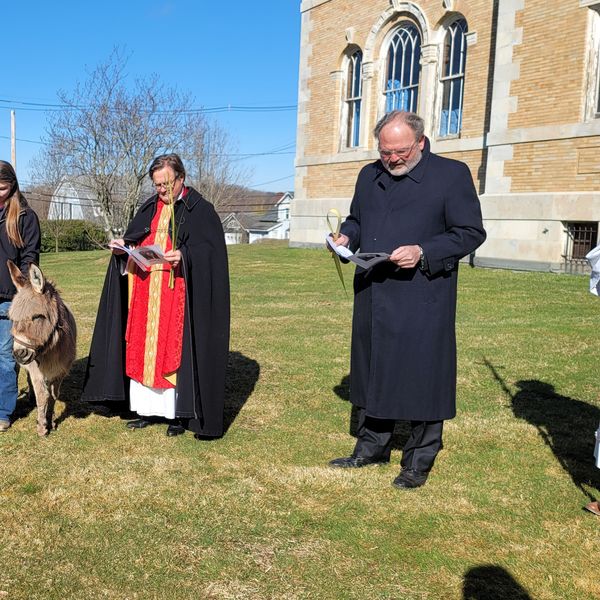 Palm Sunday celebrated with palm fronds, miniature donkey