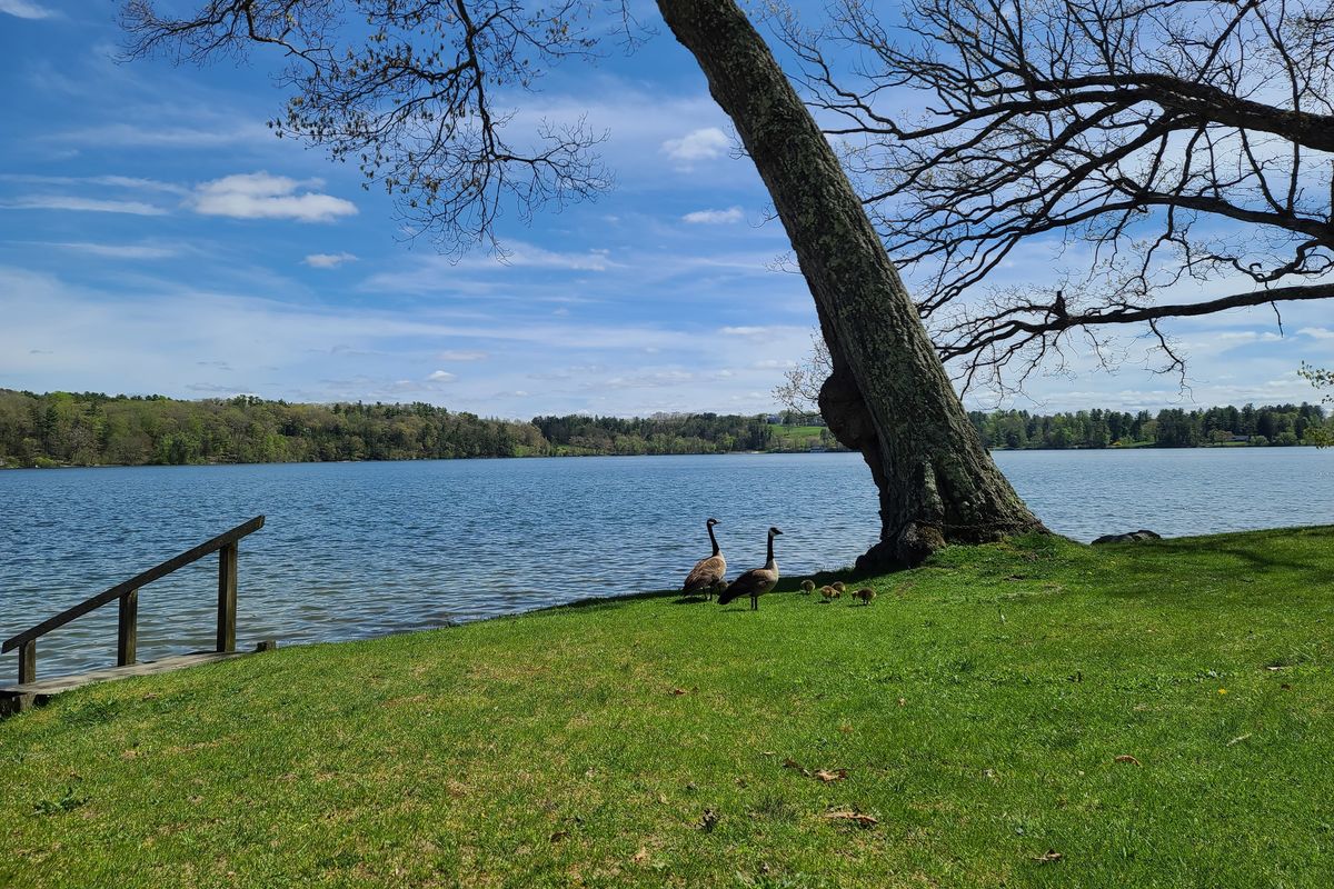 2024's World Migratory Bird Day