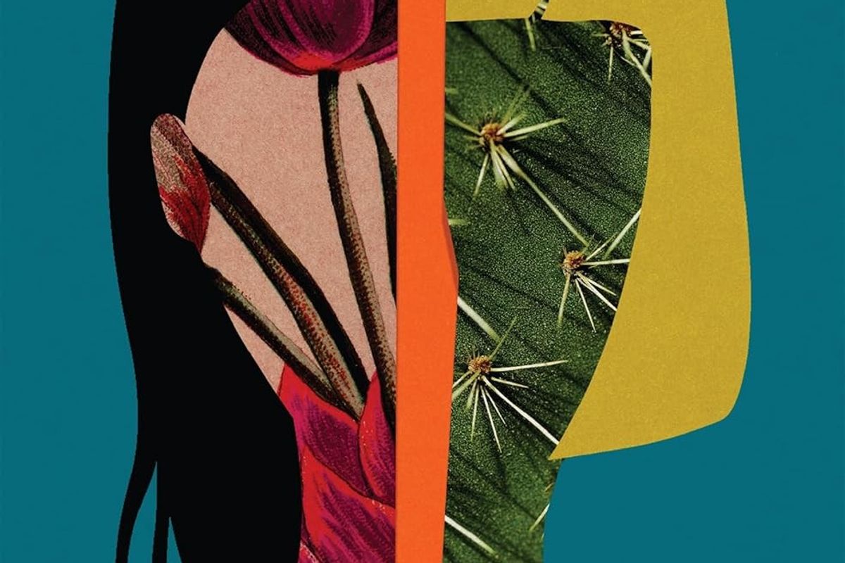The fragile bonds of family: a review of Betsy Lerner’s 'Shred Sisters'