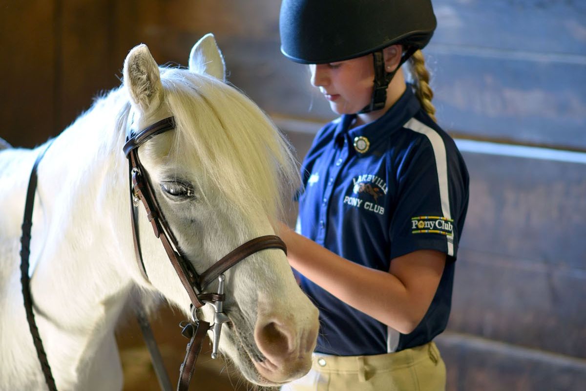 Saddling up for the future: Lakeville Pony Club hosts open house