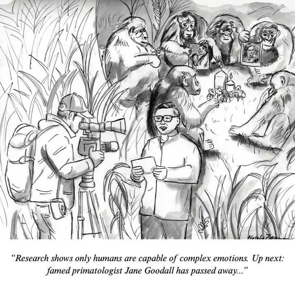 Jane Goodall's memorial