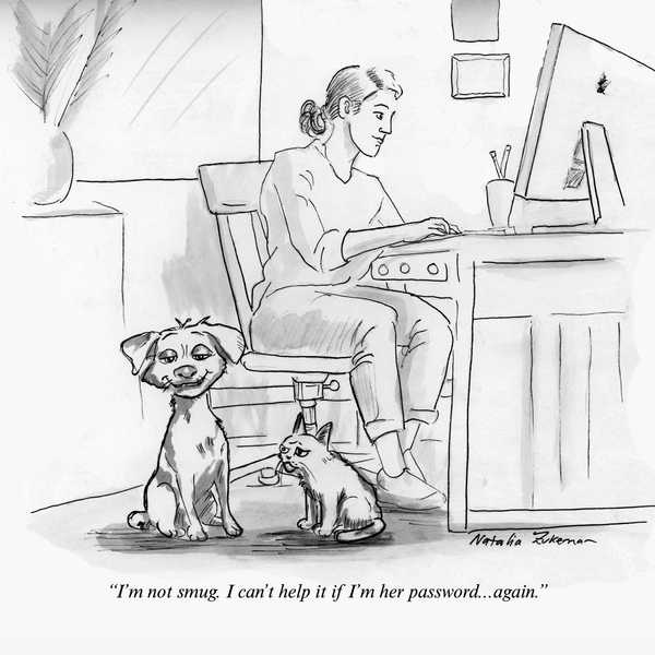 Passwords