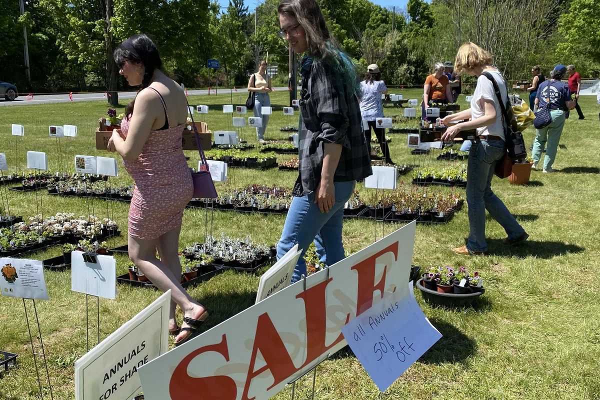 Plant sale days