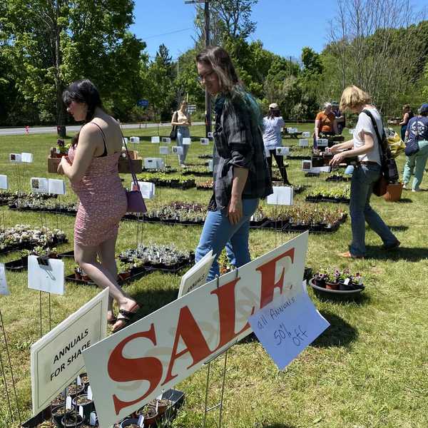 Plant sale days