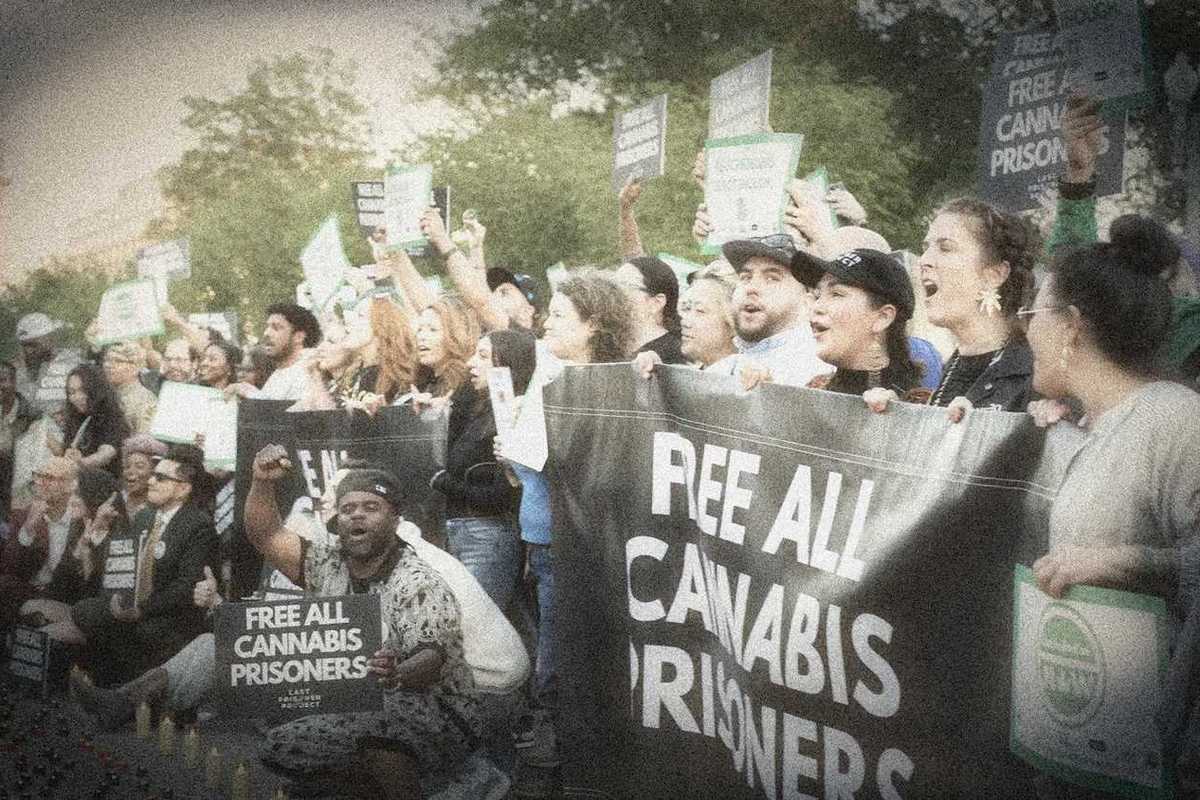 'Bar None: Cannabis Redemption'