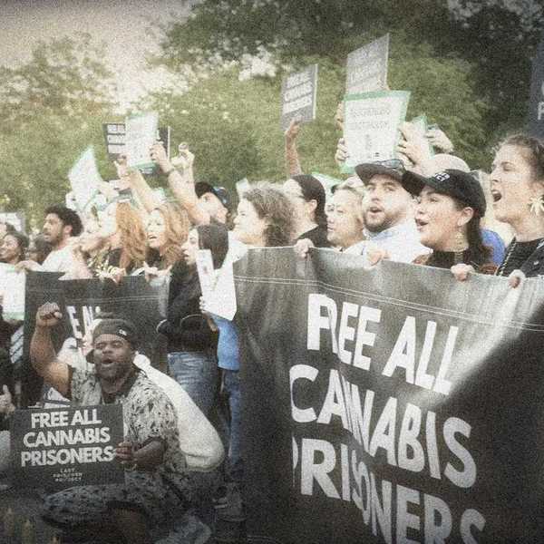 'Bar None: Cannabis Redemption'