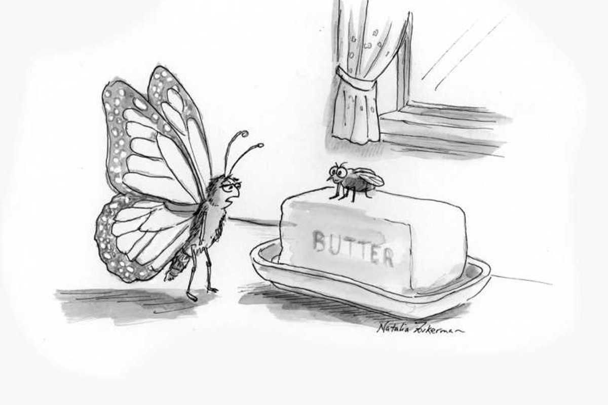 Flutterby