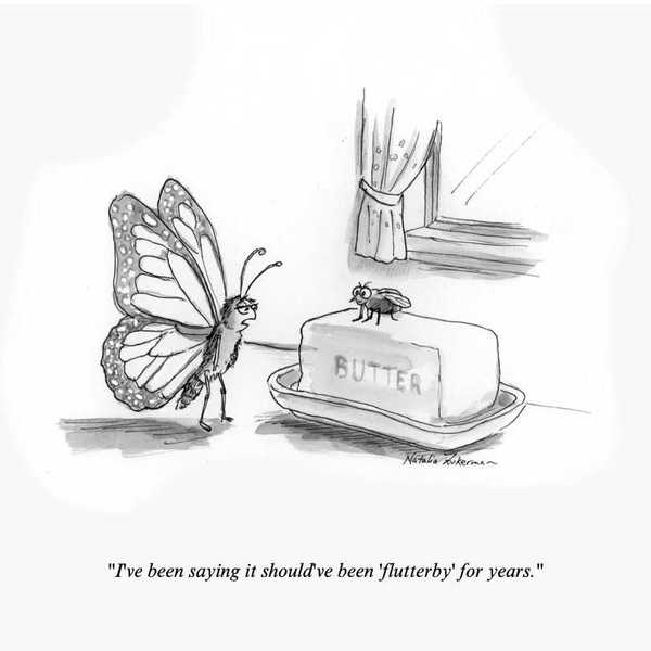 Flutterby