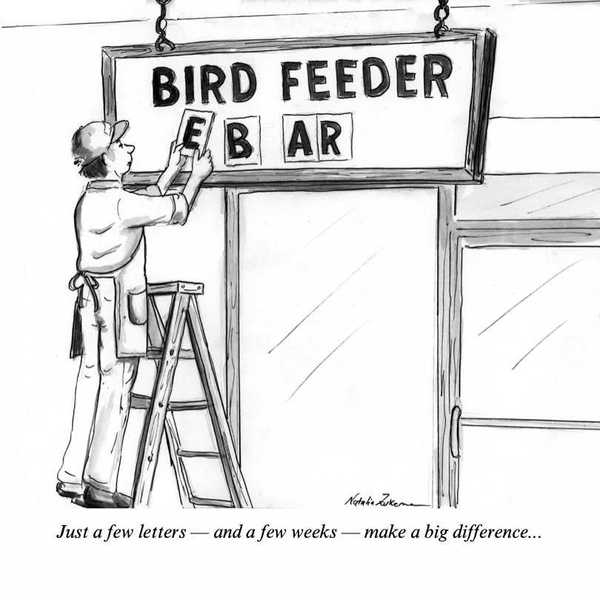 Bearbird feeder