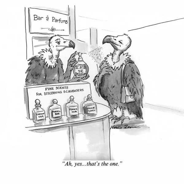 Eau de Vulture