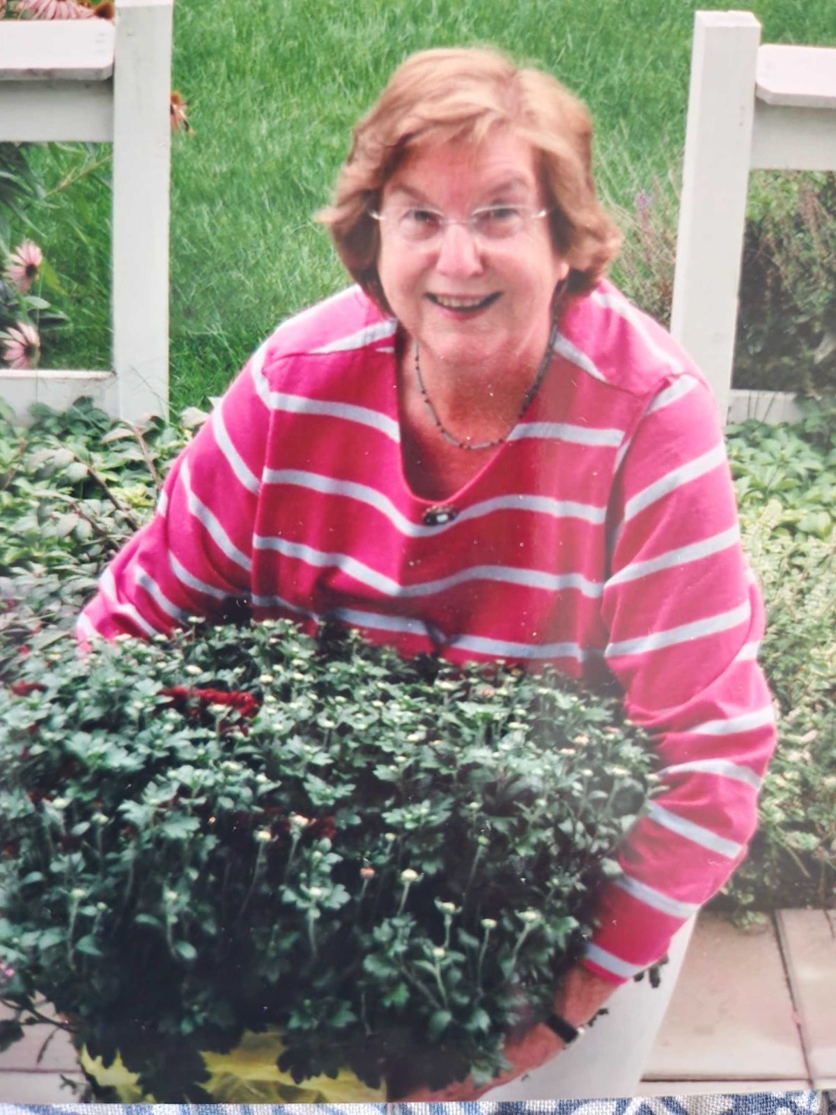 Joyce Gertrude Cassetta