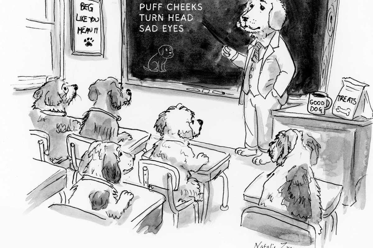 Cute class