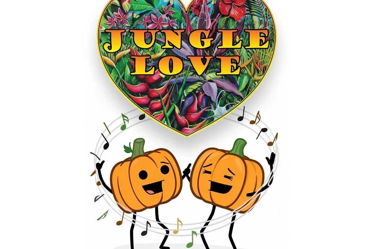 Boogie into fall
