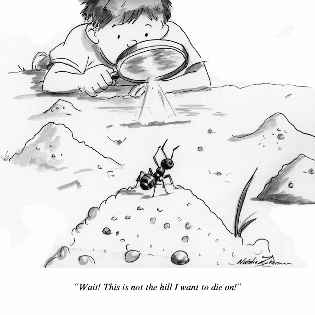 Ant hill