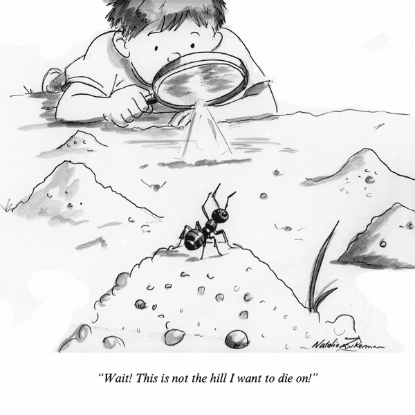 Ant hill
